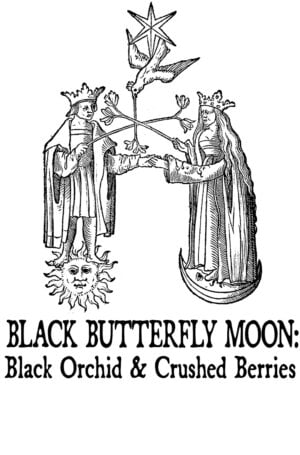 Black Orchid and Crushed Berries
