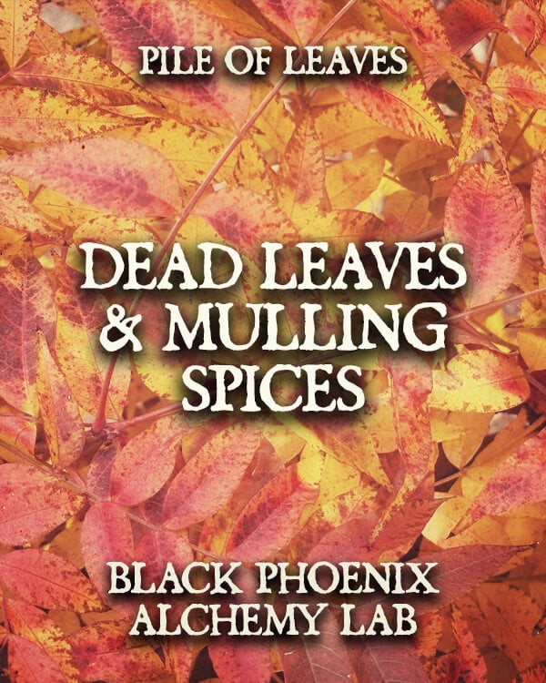 Dead Leaves and Mulling Spices Hair Gloss