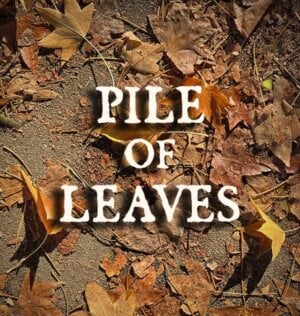 Pile of Leaves 2025