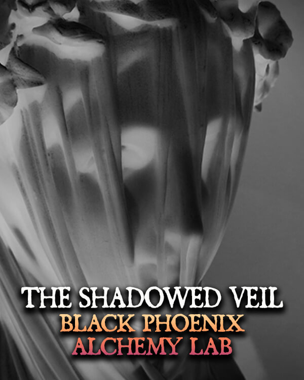 The Shadowed Veil 2025 Hair Gloss