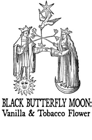 Vanilla and Tobacco Flower