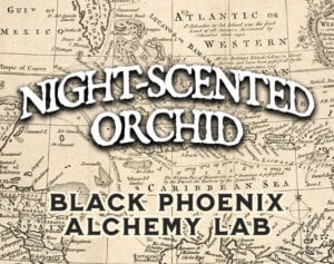 NIGHT-SCENTED ORCHID