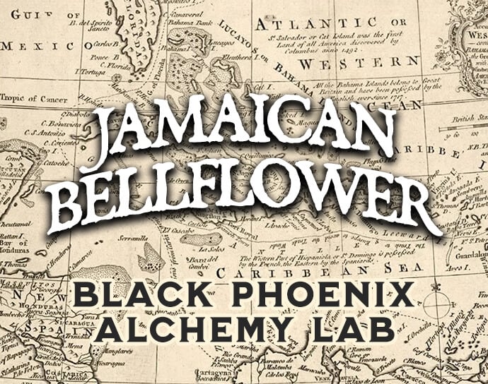 jamaican bellflower