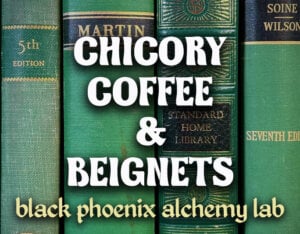 Chicory Coffee And Beignet