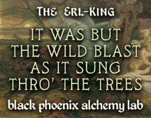 It Was But The Wild Blast