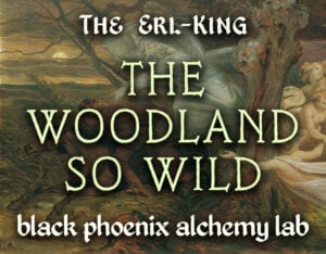 The Woodland So Wild