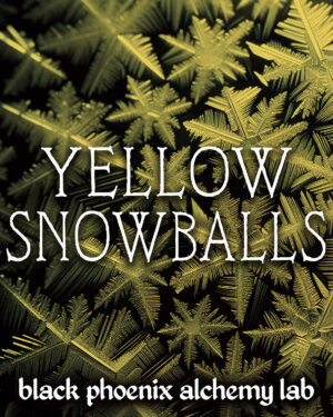 yellow snowballs