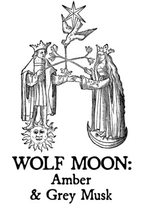Wolf Moon: Amber & Grey Musk Perfume Oil