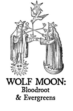 Wolf Moon: Bloodroot & Evergreens Perfume Oil