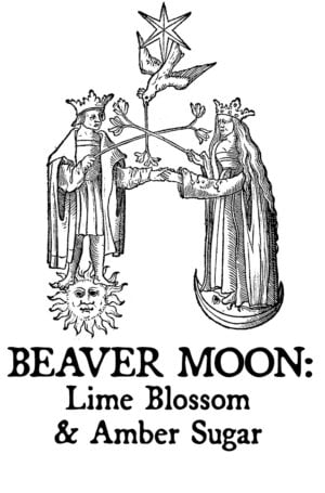Beaver Moon: Lime Blossom & Amber Sugar Perfume Oil