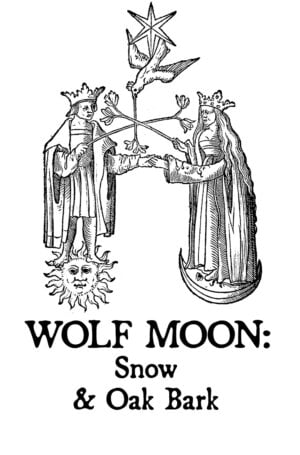 Wolf Moon: Snow & Oak Bark Perfume Oil