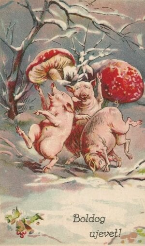 new-years-party-pigs-NYE-2025-web-300x506.jpg